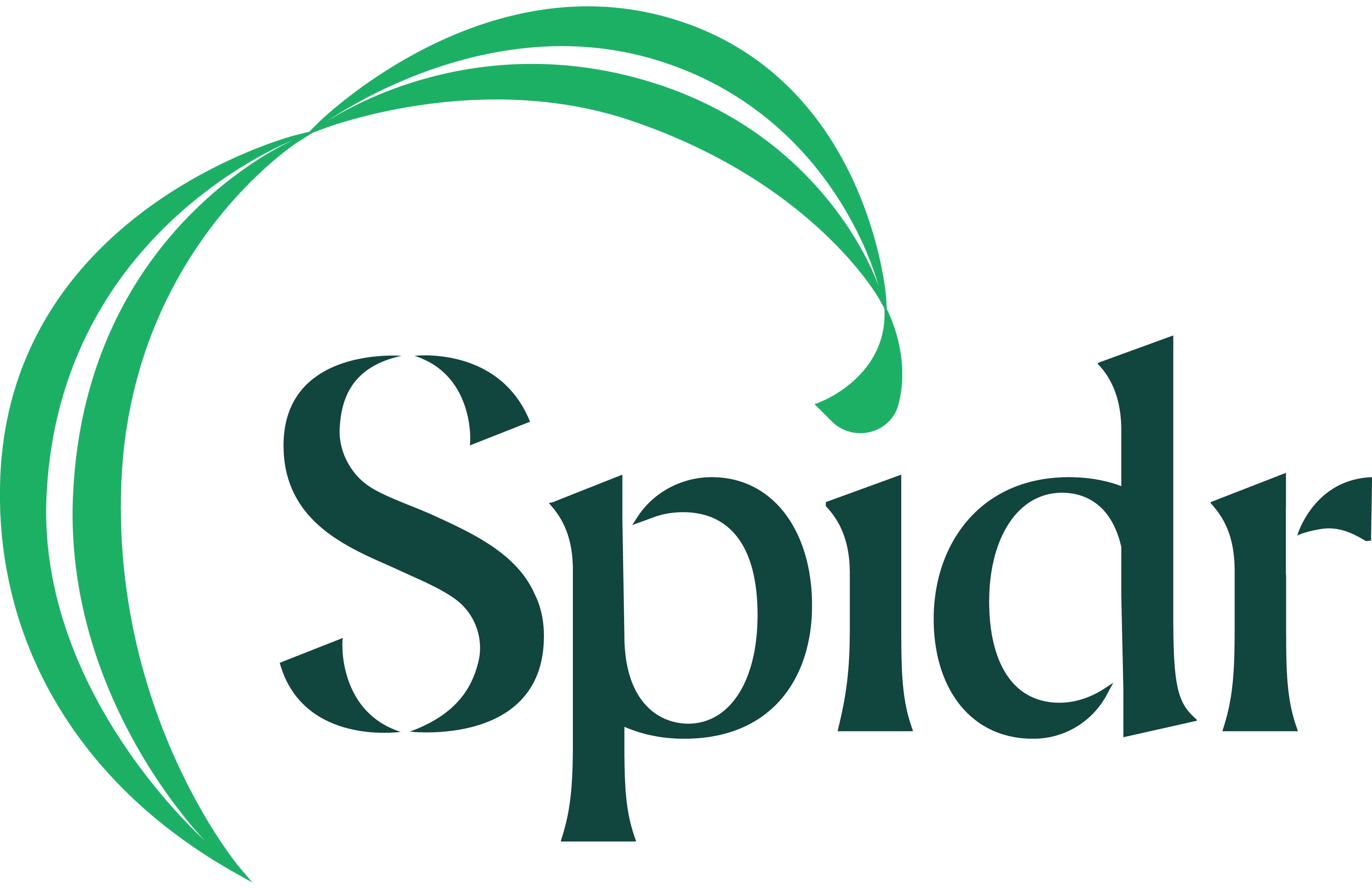 spidr logo